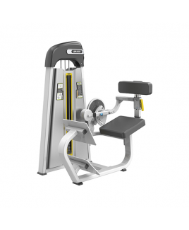 EVOST BACK EXTENSION